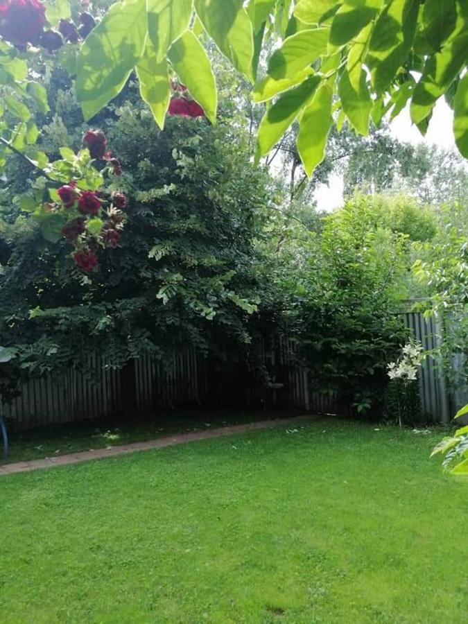 Casa File De Poveste Targu Jiu Bagian luar foto