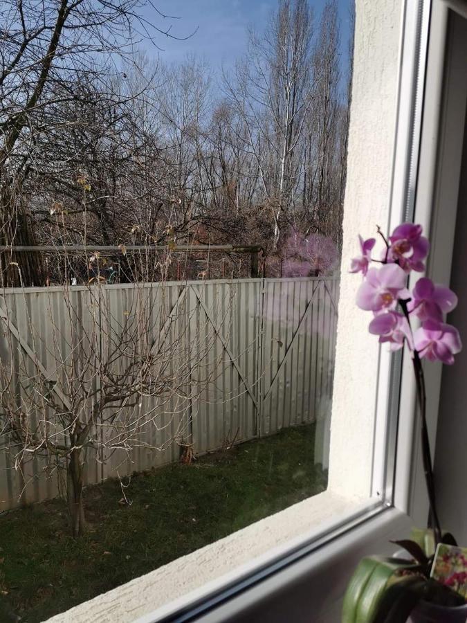 Casa File De Poveste Targu Jiu Bagian luar foto