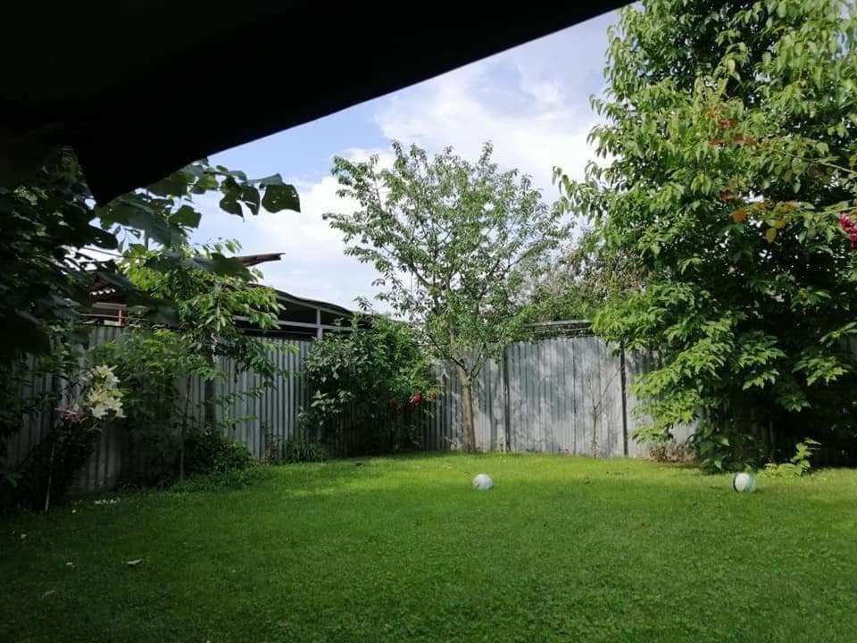 Casa File De Poveste Targu Jiu Bagian luar foto