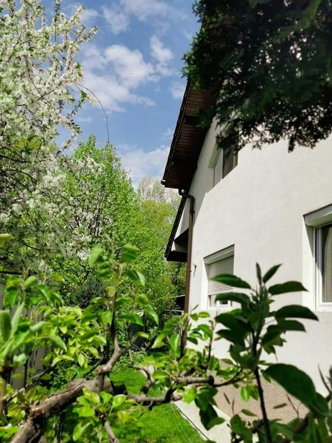 Casa File De Poveste Targu Jiu Bagian luar foto